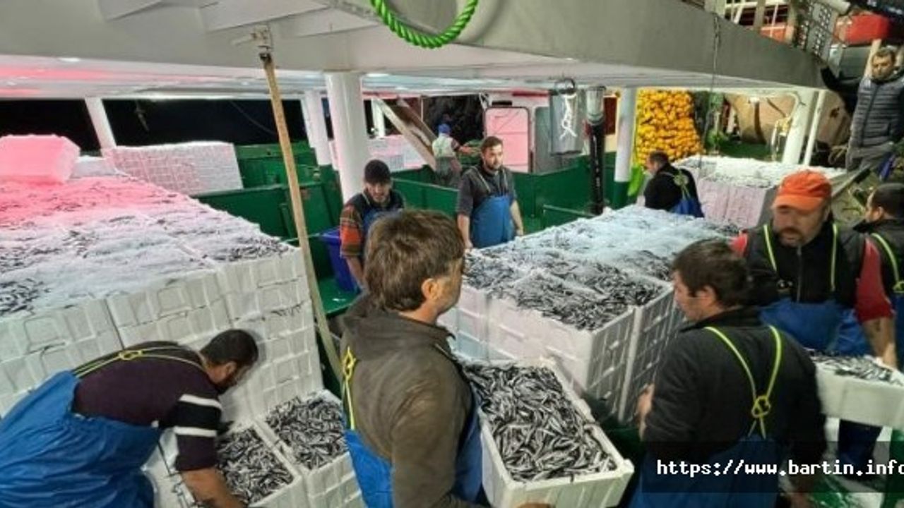 300 Ton Hamsiyle Döndüler, Vatandaşa İkram Ettiler