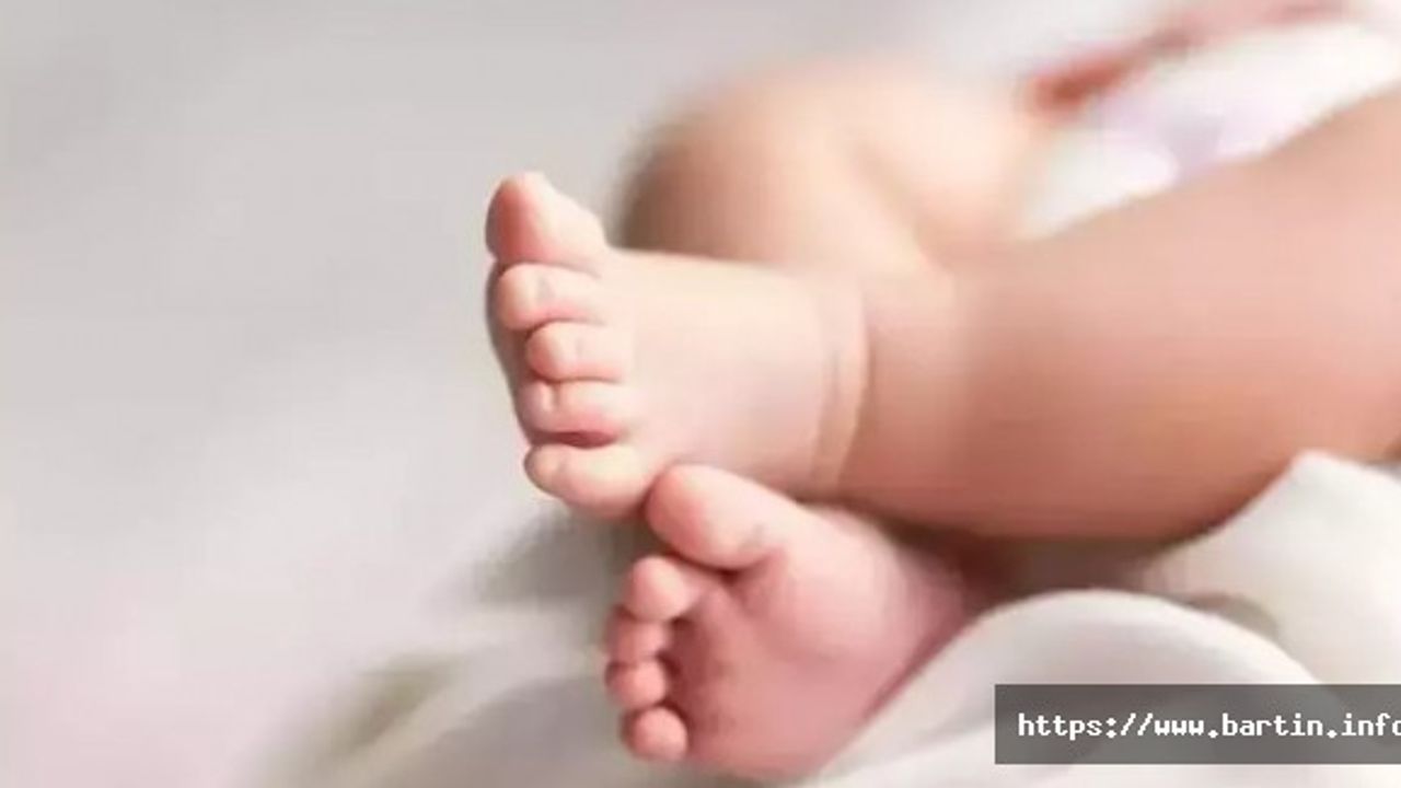 Bartın'da Bin 479 Çocuk Dünyaya Geldi