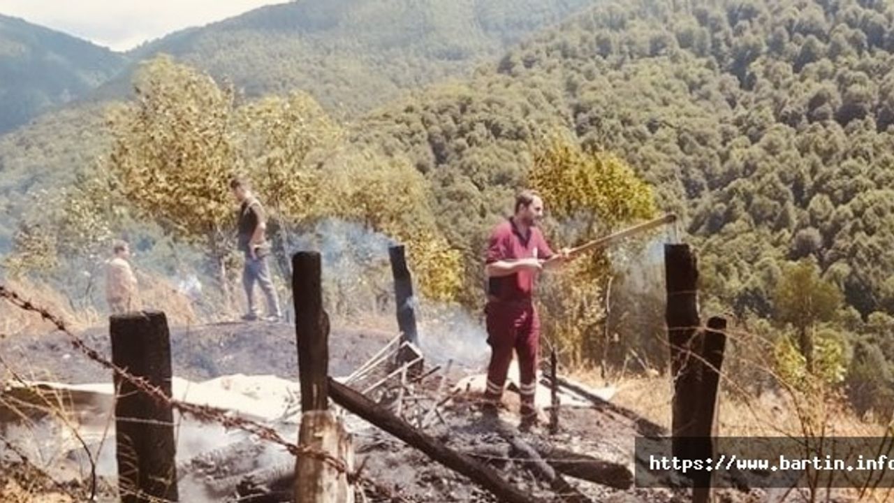 Tarladaki anız ateşi ormana sıçradı