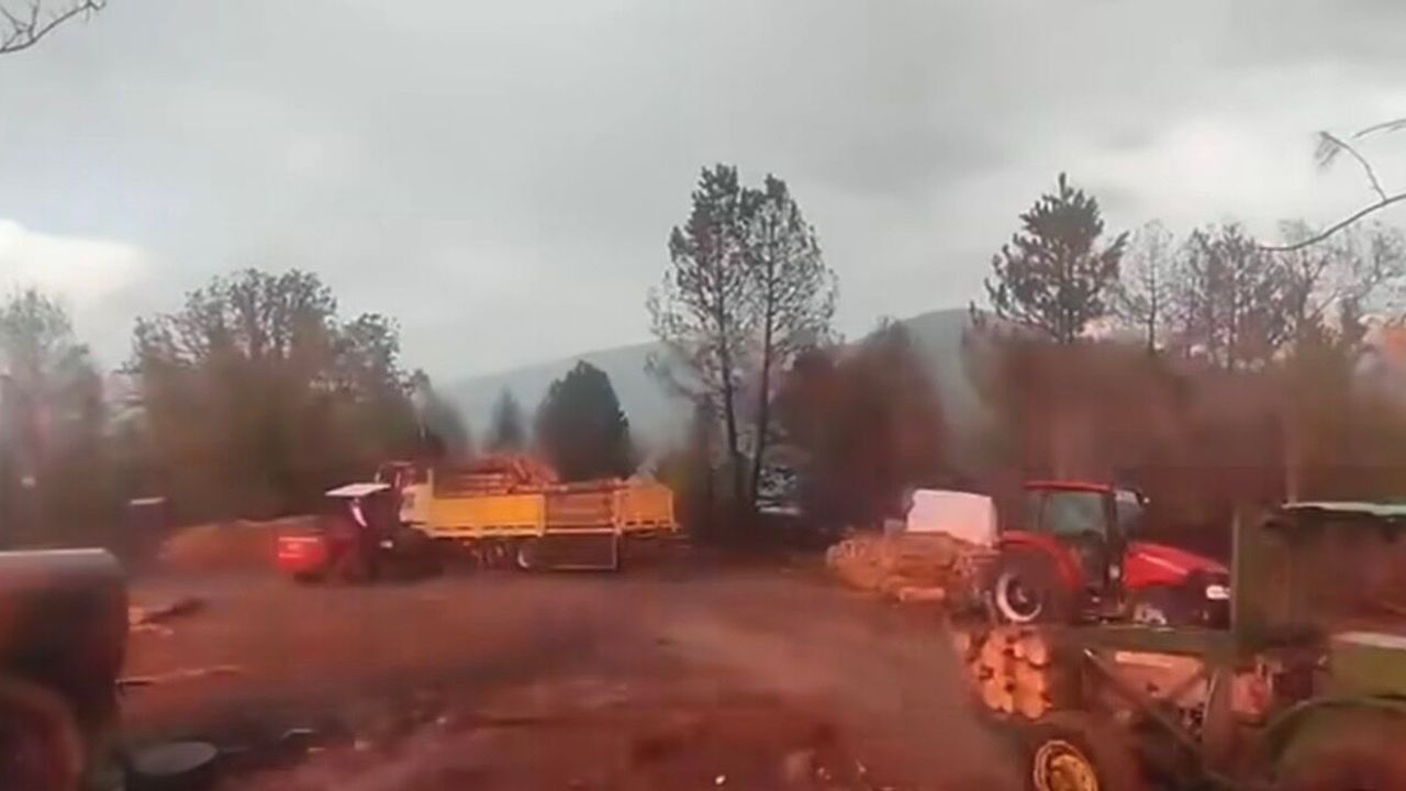Ormanda Korku Dolu Anlar