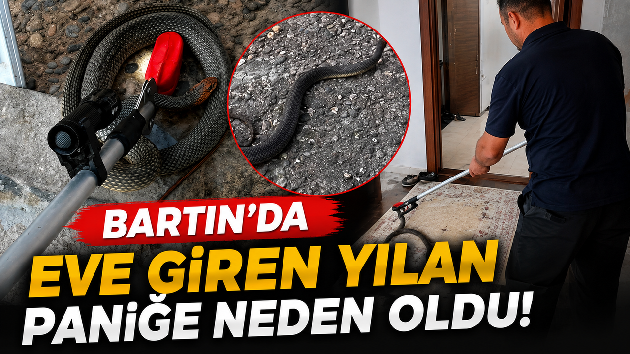 Bartın’da Eve Giren Yılan Paniğe Neden Oldu