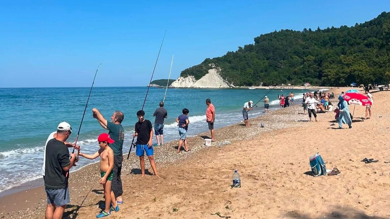 Deniz Bir Anda Soğudu, İstavrit Kıyıya Akın Etti!