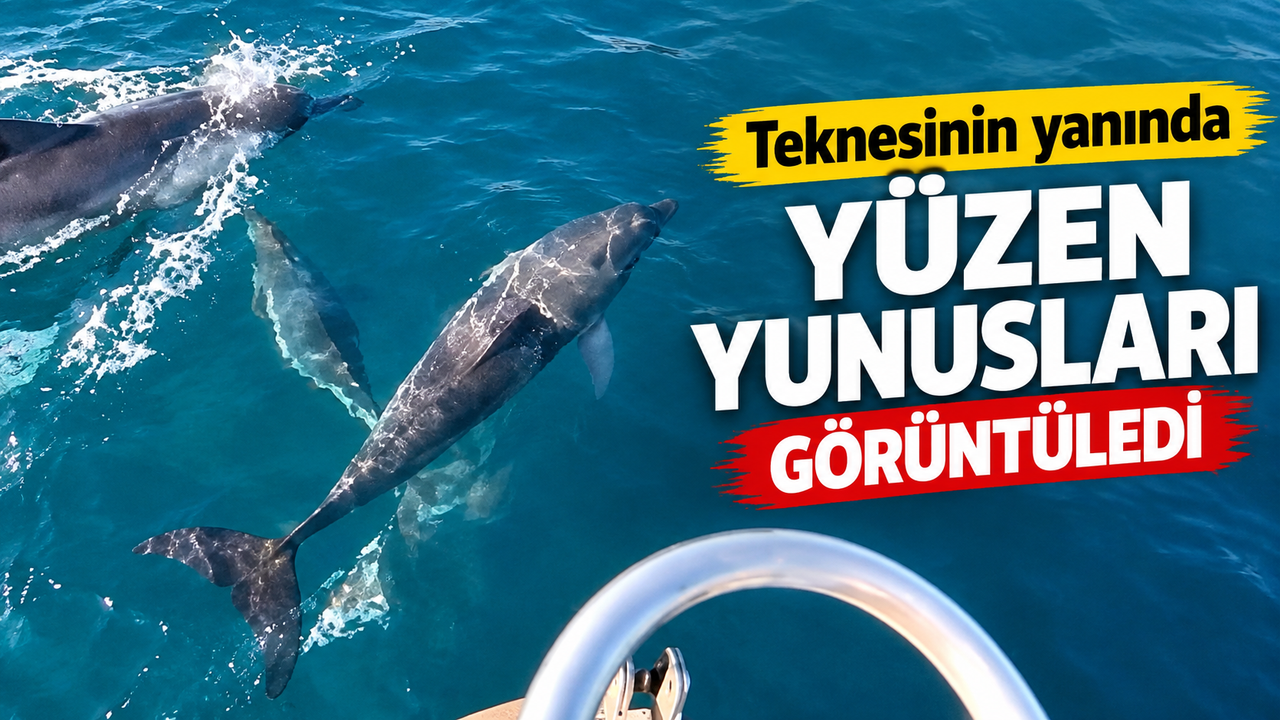 İnkumu Açıklarında Yunusların Tekneyle Dansı