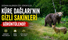 Küre Dağları’nın Gizli Sakinleri Görüntülendi
