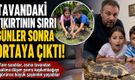 Tavandaki Tıkırtının Sırrı Günler Sonra Ortaya Çıktı