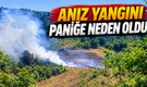 Anız Yangını Paniğe Neden Oldu