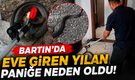 Bartın’da Eve Giren Yılan Paniğe Neden Oldu