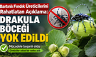 Fındık Üreticilerini Rahatlatan Açıklama: Drakula böceği yok