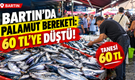 Bartın’da palamut bereketi: 60 TL’ye Düştü