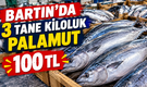 Bartın’da 3 adet kiloluk palamut 100 TL
