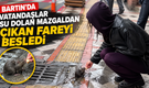 Kimse Hayvanseverliğimizi Sorgulamasın !