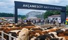 Akçamescit Hayvan Pazarında Beklenen Tarih Açıklandı