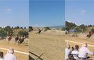 Festivalde at yarışında kaza: 2 at öldü, 1 jokey yaralı