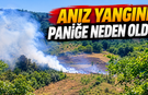 Anız Yangını Paniğe Neden Oldu