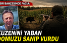 Mısır bahçesinde facia: Kuzenini yaban domuzu sanıp vurdu