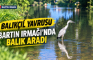 Balıkçıl Yavrusu Bartın Irmağı’nda Balık Aradı