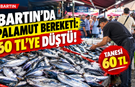 Bartın’da palamut bereketi: 60 TL’ye Düştü