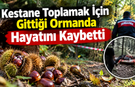 Kestane Toplamak İçin Gittiği Ormanda Hayatını Kaybetti