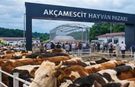 Akçamescit Hayvan Pazarında Beklenen Tarih Açıklandı