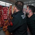 Bartın’da At Eti Alarmı: Belediye Harekete Geçti