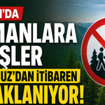 Bartın'da Ormanlara Girişler Yasaklanıyor !