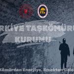 TTK Amasra Kuraları Çekildi