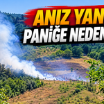 Anız Yangını Paniğe Neden Oldu