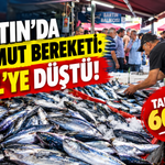 Bartın’da palamut bereketi: 60 TL’ye Düştü