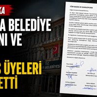 Siyaset