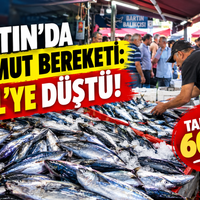 Güncel
