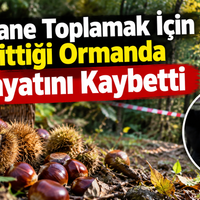 Asayiş