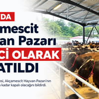 Tarım