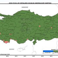 Güncel