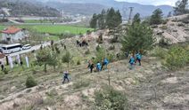 Bartın'da hükümlüler fidan dikti