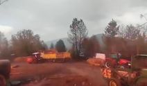 Ormanda Korku Dolu Anlar