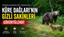 Küre Dağları’nın Gizli Sakinleri Görüntülendi