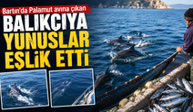 Bartın’da Palamut avına çıkan balıkçıya yunuslar eşlik etti