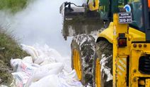 Bartın’da 7,5 Ton Böceklenmiş Un Ele Geçirildi