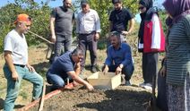 Kumluca'da Salep dikimi gerçekleştirildi