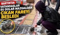 Kimse Hayvanseverliğimizi Sorgulamasın !