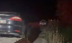 Bartın’da yaşlı kadına çarparak ölümüne yol açan sürücü