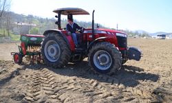 Bartın'da Kenevir Tohumları Toprakla Buluşuyor