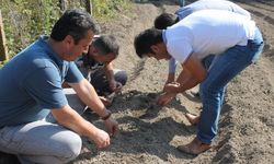 Bartın Tarım İl Müdürü Salep Dikti