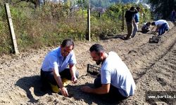 Bartın'da Safran'dan Sonra Salep