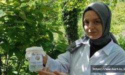 Kestane Balı İçin Terminatör Böcekler Doğaya Salındı