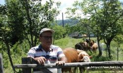Bayram Öncesi Şok Karar; Tüm Pazarlar Kapatıldı