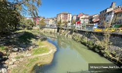 Oksijensiz Kalan Yüzlerce Balık Öldü