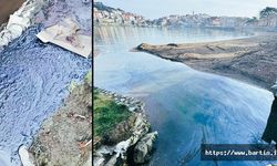 Amasra'da petrol mü bulundu ?