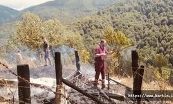 Tarladaki anız ateşi ormana sıçradı