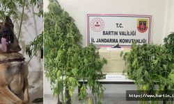 Uluköy ve Gözpınar'a Uyuşturucu Baskını